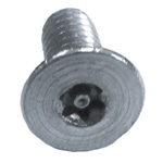 Torx Screw